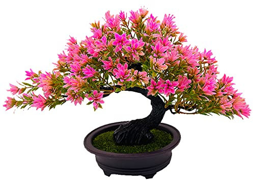 Fycooler 20cm Kunstpflanze Bonsai Baum im Keramiktopf Künstliche Pflanzen Aesthetic Japanische Bonsai Deko für Wohnzimmer Schlafzimmer Badzimmer Fensterbank Dekoration - Podocarpus Kunstbonsai