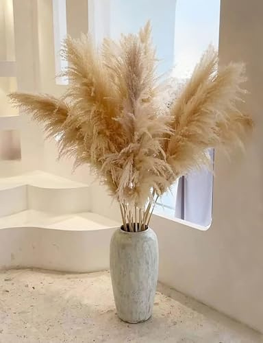 10 Stück Pampasgras Groß (39In/100cm), Pampas Grass XXL, Pampasgras für Boho DekoWohnzimmer Tisch Schlafzimmer Hochzeits Badezimmer Vase