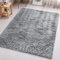 Aspire Homeware Rugs Living Room - Grey Area Rugs for Bedroom Anti Slip - Modern Super Soft Thick Pile Small Fluffy Shaggy Rug Non Shedding, 50cm x 80 cm