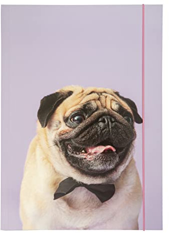 folia 69002 - Sammelmappe A3 Basic Puggy Love, aus stabilem Karton mit Gummiband