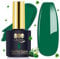 YTD Likomey Gel Nail Polish,1 Pcs 15ml Bright Green Soak Off UV Nail Gel,Salon Home DIY Manicure High Pigment Gel Polish,CS360
