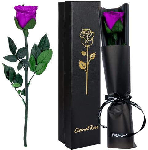 CSYY Rosa Eterna, Rosa Eterna Púrpura con Tallo Flores Preservadas Regalo San Valentín Dia de la Madre Flores Regalo Mama Navidad Púrpura