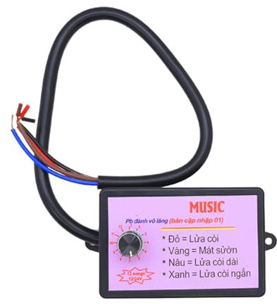 12-24V Autohupen-Controller, Hochfeste Sound-Steuereinheit, Flexible Einstellung Hupen-Sound-Steuereinheit, für Auto-LKW-Marineboote (12 Klänge)