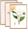 VIDETOL A3 Photo Frame Set of 3, Aluminum A3 Picture Frames with Perspex Front, Wall Mount Gold Frame for Photo Picture Certificate Poster Wall Decor, 30.7x43cm