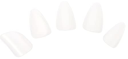 Weiße Nylon Pipa Nägel 5 Stück, Leichtes Zubehör für Pipa Spiel | Glatte Rundkante, Tragbar und Leicht zu Reinigen, als Geschenk Geeignet, Passendes Zubehör für Instrumente