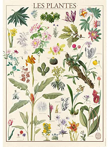 Puzzles Nathan 4005556873098 1500 Teile – Die Pflanzen/Nationalmuseum für Naturgeschichte Puzzle für Erwachsene