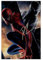 doegka Tobey Maguire Spiderman 3-in-Person-Poster auf Leinwand, signiert, Schlafzimmerdekoration, Landschaft, Büro, Raumdekoration, Geschenk, 60 x 90 cm