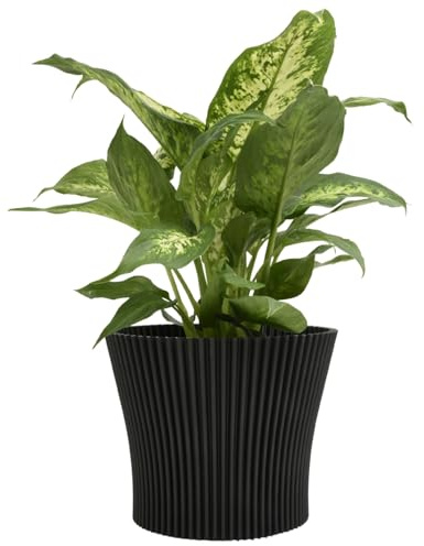 Matt Ribbed Flower Pot – Modern Flared Conical Planter with Pleated Design, Lightweight, Indoor/Outdoor Decorative Plant Pot – Multiple Sizes & Colors (Black Pearl, 15cm)