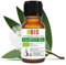 CajeputÖl Bio Ätherisches Öl 100% Reines 10 ml - Aromatherapie Kosmetik Therapeutische - Laborbio