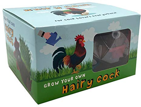 Diabolical DP1256 Grow Your Own Hairy Cock - Funny Gifts for Women, Gifts for Girlfriend, Birthday Presents for Her, Garden Ornament, Weird Gifts, Cool Stuff Under 10 Pounds, Grow Your Own Kits