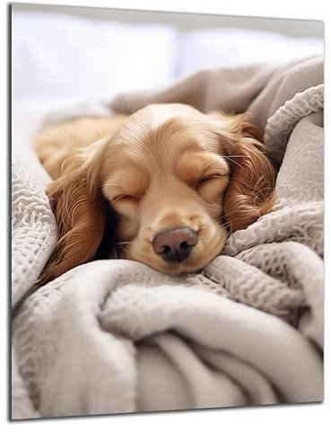 Munera Design - Bild 56x84 - schlafender Hund Welpe Cocker Spaniel - Wand-Bilder Wohnzimmer