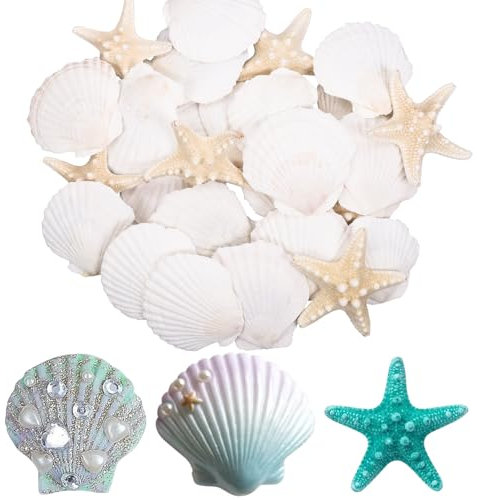 Fzyisw 30 Stück Natürliche Muscheln und Seesterne Deko 6-8cm Naturweiße Jakobsmuschel Seesterne, Bemalbar für DIY Handwerk, Strandparty-Deko, Heimdekoration, Kinderhandwerk (20 Muscheln/10 Seesterne)