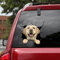 Ocean Gift Labrador Auto Abziehbilder, Hund Auto Aufkleber 2 Stück - Realistische Labrador Aufkleber für Autofenster, Wände Serie 109 Größe 30.5 cm x 30.5 cm