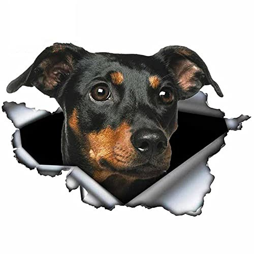2pcs Zwergpinscher Autoaufkleber 3D Zerrissenes Metall Vinyl Heckscheibe Stamm Custom Aufkleber 13cm Haustier Hund Grafik Auto Aufkleber Autoaufkleber Dekoration Aufkleber