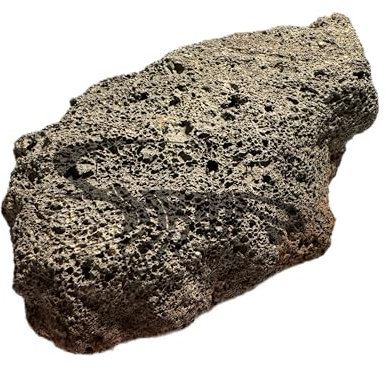 Lavastein naturrein/Dekoration, Hardscape für Einrichtung von Aquarium Terrarium und Garten/unbehandeltes Lavagestein (1, M, 12-16cm)