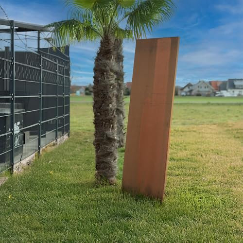 Home Deluxe Pare-Vue en Acier corten Aura Aspect Rouille - 180 x 50 cm | Clôture Pare-Vue, Acier corten, Rouille Noble