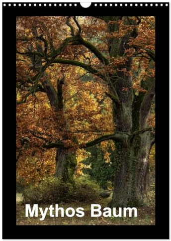 Mythos Baum / 2026 (Wandkalender 2026 DIN A3 hoch), CALVENDO Monatskalender: Alte Bäume ziehen uns in ihren Bann und wecken Fantasien. (CALVENDO Natur)