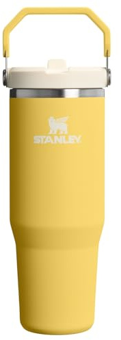 STANLEY Classic IceFlow Stainless Steel Tumbler with Straw, Vacuum Insulated Water Bottle for Home, Office or Car, Reusable Cup with Straw Leakproof