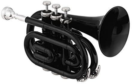 SIUKE Mini-Taschentrompete Bb Flachblasinstrument aus Messingmaterial mit Mundstück Handschuhe Reinigungstuch Tragetasche
