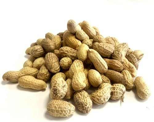 3 Litre Refill Bag Peanuts in Shells Premium Safe Wild Bird Food Monkey Nuts Afflotoxin Free (Weight 0.9kg/approx. 3L) MCW