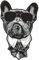 Spaß Kostet Aufkleber Wetterfest French Bulldog Chef 15 cm oder 40 cm Französische Bulldogge