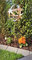 Jürgen Bocker Gartenambiente Rosenkugel Geflecht 10 cm Edelstahl mit Stab 80 cm Streifenkugel Geflechtkugel