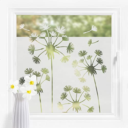 Bilderwelten Fensterfolie Sichtschutz Pusteblumen 60 x 80 cm Milchglasfolie Sichtschutzfolie Fenster Folie Blickdicht Anti-UV Statisch Haftend Querformat