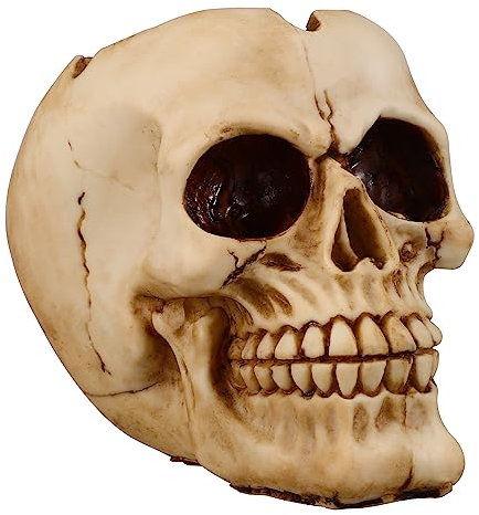 BESPORTBLE Schädeltopf Skelett Blumentopf Skelett-dekor Zuckerschüssel Kaktus-pflanzgefäße Schädel-Statue-skulptur Übertopf Mit -Pflanze Mini-übertopfvase Mit - Harz