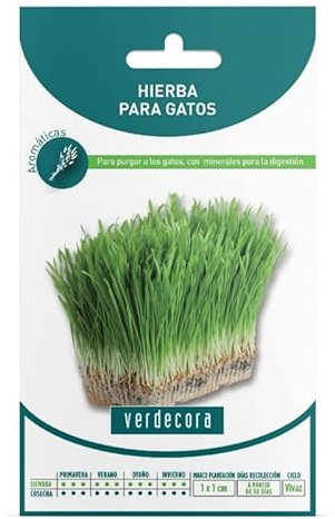 SEMILLAS HIERBA PARA GATOS VERDECORA