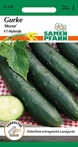 Samen Pfann G270 Gurke Murza F1-Hybride (Gurkensamen)