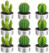 LATRAT Kaktus Kerzen, 9 Stück Kerzen Rauchfreie Kerzen, Sukkulente Cactus Candle Geschenkset, Handgemachtes Zartes Rauchloses Süßes Grünes Pflanzen für Festival, Party, Spa, Heimdekoration, Geschenke