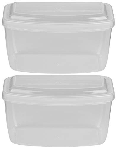Topyond 2PCS Schwimmbrillen Etui Scuba Tauchen Maske Lagerung Fall Tauchmaske Fall PP Schnorchel Fall Box Schnorchel Maske Box(Transparenz)