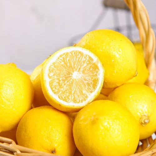 35 piezas semillas reales de limonero, árboles frutales columnares, planta,lima cítrica, árboles frutales enanos, planta de interior árbol bonsái, invernadero Semillas de plantas