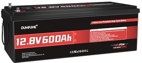 12V 600Ah Batteria al Litio LiFePO4 - BMS 200A Integrato, 7200Wh 15.000+ Cicli Profondi - Protezione Bassa Temperatura - Per Sistema Solare, Camper & Applicazioni Off-Grid