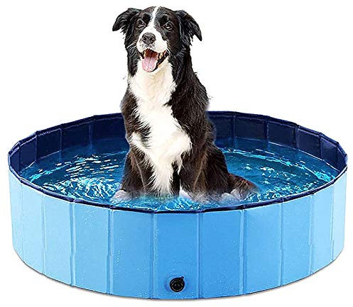Piscina Plegable para Perros, Piscina para niños, bañera para Perros y Gatos, bañera portátil para Interiores y Exteriores, Ducha para Cachorros en el jardín del Patio (160 * 30cm)