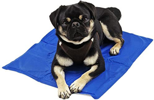 matrasa Kühlmatte für Hunde - Gelmatte Kühlpad Kühlkissen Kühlauflage für Hunde - 40x50cm (M)