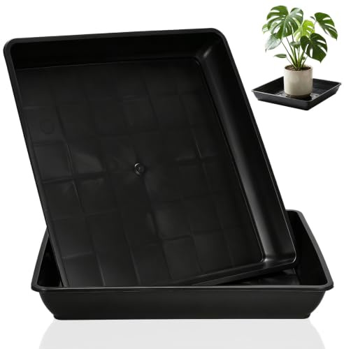BIUYUYO Plant Saucers 2Pcs Square Plastic Plant Pot Tray for Succulents Bonsai, Thickened Bottom, Water Catcher for Garden Outdoors