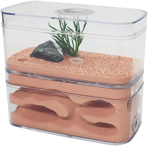 Gips-Ameisennest, Ameisenhaus, Gips-Ameisenfarm, Formicarium, Lebensraum, Haustier-Ameisenhaufen, Insektenschloss, Worshop-Villa mit Futterbereich