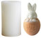NSXIN Ostern Silikonform Kaninchen 3D Osterhase Kerzenformen DIY Silikon Eierschalen, Gießform Seifenform Mousse Kuchenform für Tortendeko, Sojawachs Kerzen, Schokolade, Aromasteinen