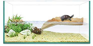 ICA Kit Tortue Isla 40 Reptiselva 1000 g