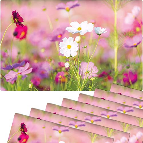 matches21 Frühlingshafte Tischsets Platzsets Motiv abwaschbar Frühling Blumen pink weiß Blumenwiese 8er 43,5x28,5 cm