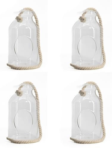 Glas Pflanzenhalter Flasche 10 x 18cm 4 Stück mit Kordel zum hängen und hinstellen Tisch-Deko Vase für Sukkulenten Glas-Ampel