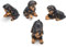 Aladeno 4Pcs Set Rottweiler Hündchen Gartendeko Wohnzimmer Figuren Deko Gartenfiguren Geschenke Wasserdicht für Draußen Outdoor Garten Balkon Home Terrasse Balkon Deko Dog Harz Statue Dekoration