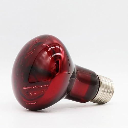 Home Garden Amphibian Turtle Lizard Night/Day Reptile Pet Heating Lamp (Transparent-50W)