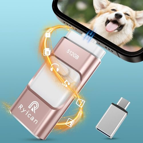 Chiavetta USB per Phone Ryican 256 GB di memoria per iOS file protetti da password 4 in 1 USB 3.0 Photo Stick Pendrive USB C per OTG Android/Laptop/PC/Pad, dati copiati con un solo clic (256 g, rosa)