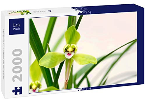 Lais Puzzle Orchideen blühen im Frühjahr 2000 Teile