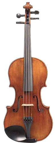 D Z Strad Viola Modell 120 mit Saiten, Koffer, Bogen, Schulterstütze und Kolophonium 14