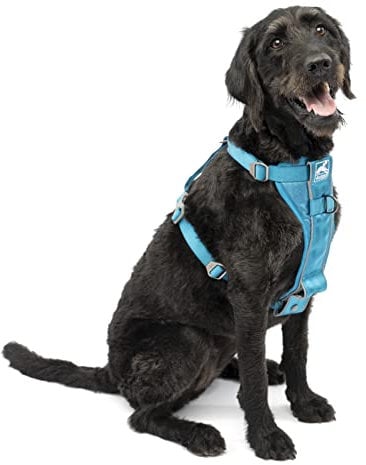 Kurgo TRU-Fit Smart Harness, Dog Harness Pet Walking Harness Quick Release Buckles, Front D-Ring for No Pull Training, Includes Dog Seat Belt Tether (Blue, Large)