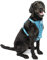 Kurgo TRU-Fit Smart Harness, Dog Harness Pet Walking Harness Quick Release Buckles, Front D-Ring for No Pull Training, Includes Dog Seat Belt Tether (Blue, Large)