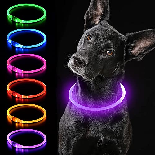 iTayga Leuchthalsband Hund, USB-aufladbar und Wasserdicht Hundehalsband, Verstellbare Länge, Sichtweite 500M, Sicherheitshalsband für Hunde und Katzen, 3 Modi, Lila